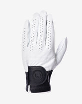 Premier 2.0 Golf Glove| Travis Mathew