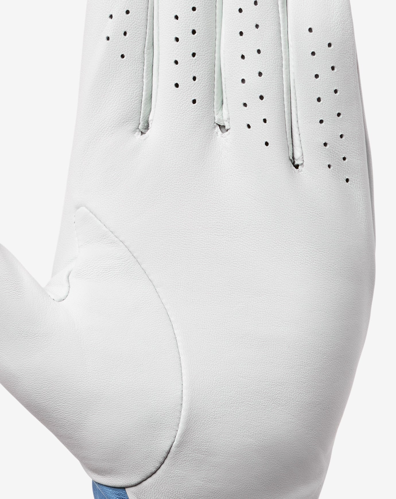 Premier Mapes Golf Glove| Travis Mathew