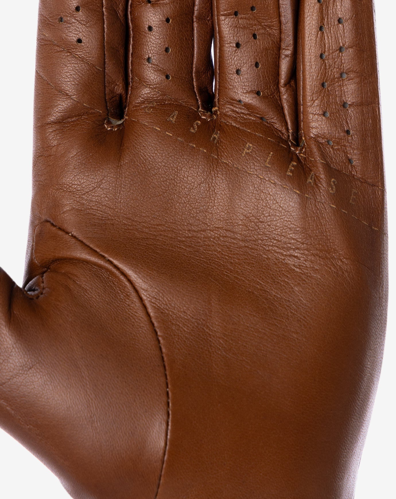Premier 2.0 Golf Glove| Travis Mathew